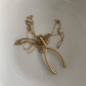 Gold wishbone necklace